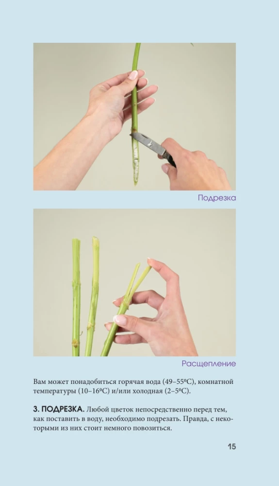 Flowers for a Bouquet. A Guide to Cut Flowers for the Beginning Florist. What and When to Buy and How to Extend the Life of Flowers